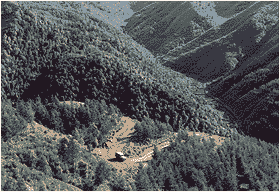 山中林区景色.gif