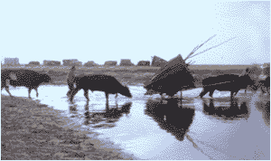 涉水过河