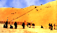 ɳ.gif (17839 bytes)